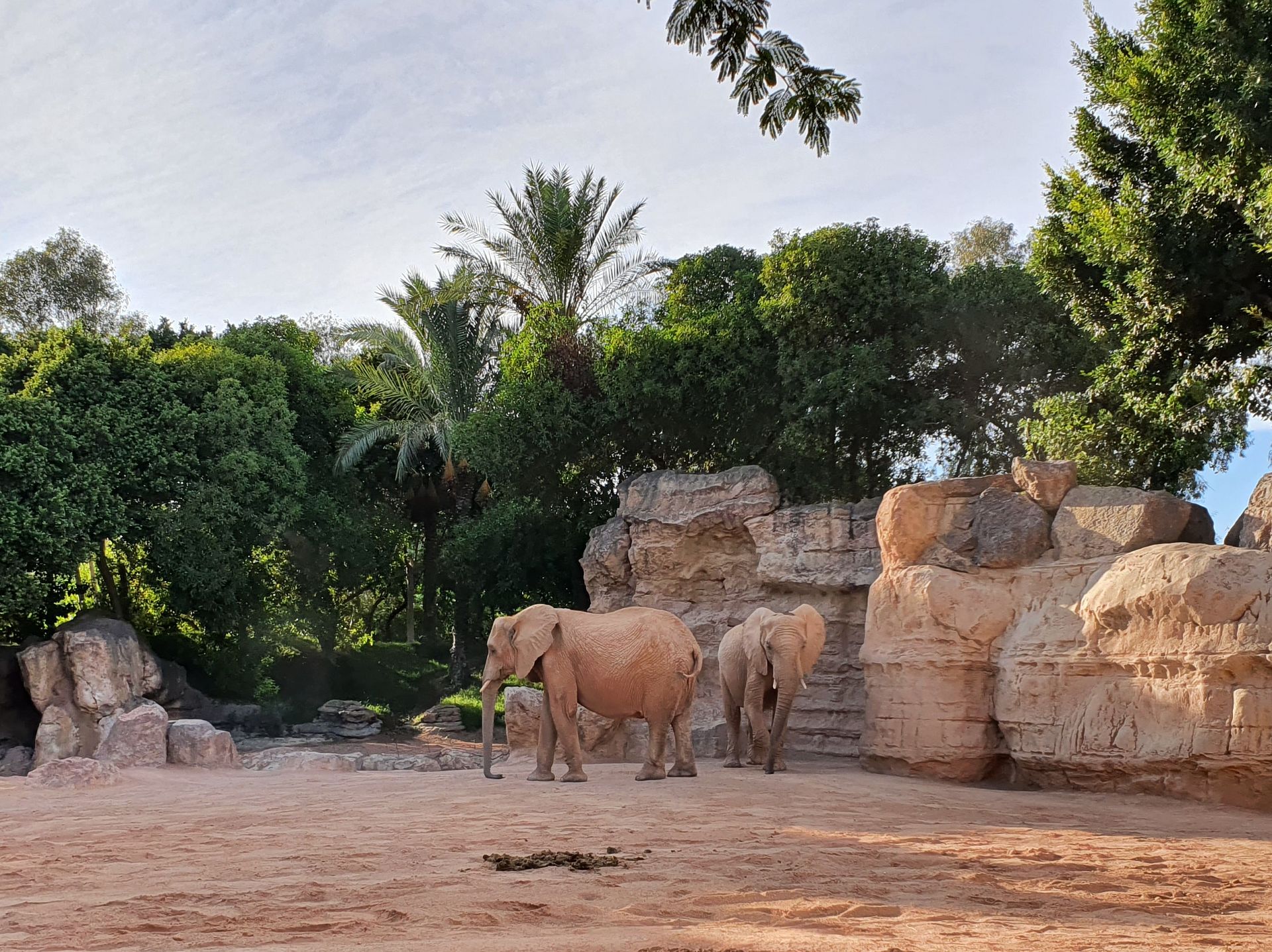 Bioparc Valencia